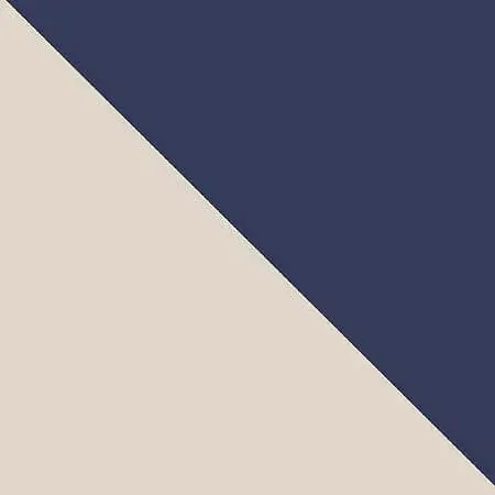 CHAMPAGNE/NAVY