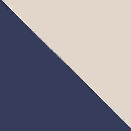 NAVY/CHAMPAGNE